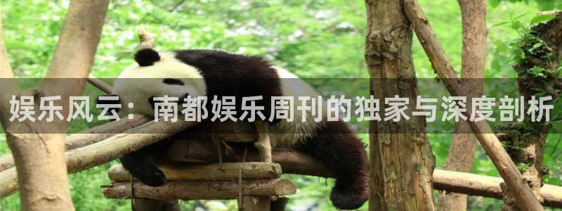 在线看门徒平台