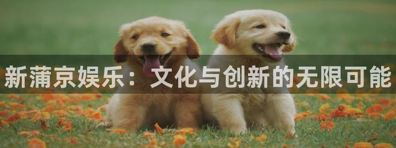 门徒娱乐官网首页