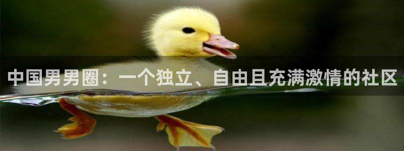 门徒娱乐登陆官网
