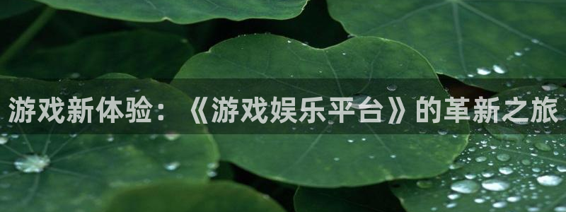 门徒娱乐登陆官网