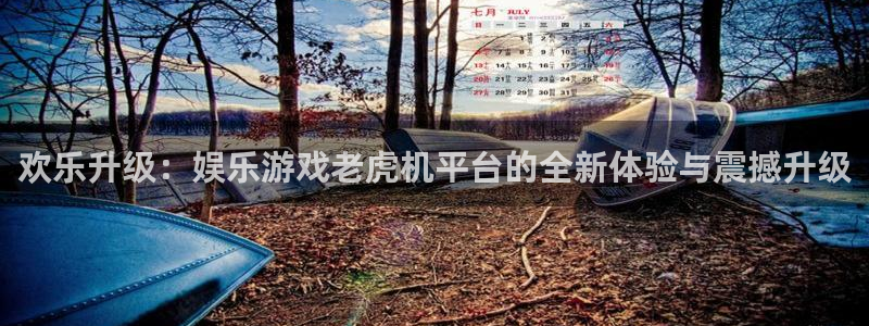 门徒平台登录入口官网注册