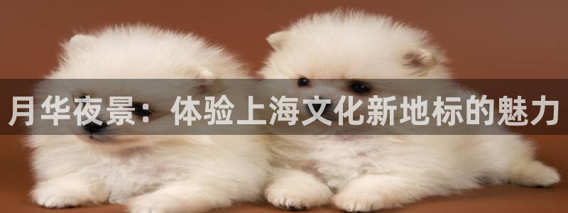 门徒平台注册